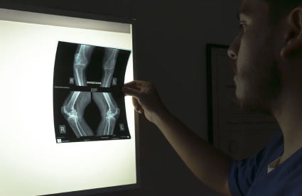 Política de Calidad